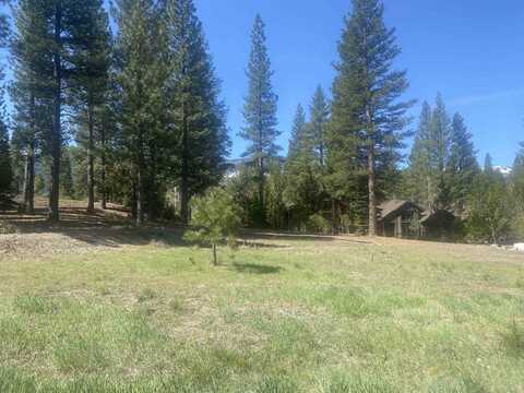 96 Forest Heights, Clio, CA 96106