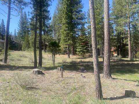 52 Forest Heights, Clio, CA 96106