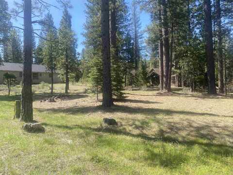 46 Forest Heights, Clio, CA 96106