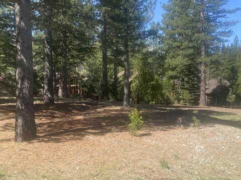 104 Forest Heights, Clio, CA 96106