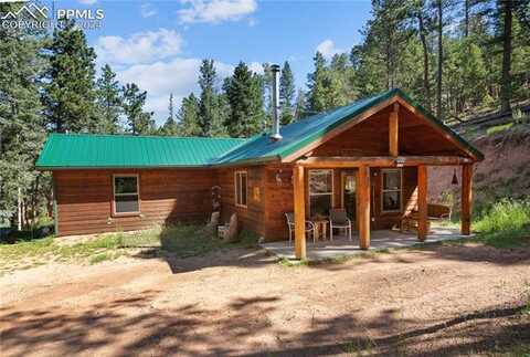 155 Squilchuk Trail, Woodland Park, CO 80863