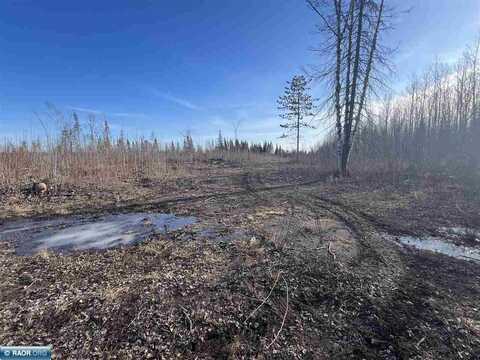TBD Central Lakes Rd, Eveleth, MN 55734