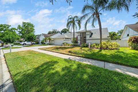 Glenarn, TAMPA, FL 33618