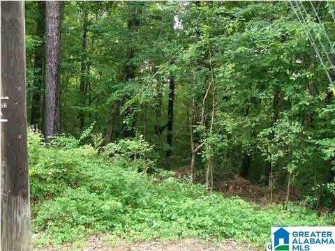 3650 VEONA DANIELS ROAD, HOOVER, AL 35216