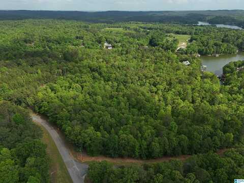 lots 125 & 126 RED CEDAR DRIVE, WEDOWEE, AL 36278