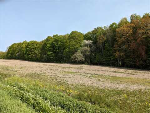 15.111 Chestnut Ridge Road, Moravia, NY 13118