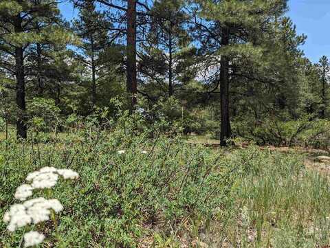 90 Balfour Court, Pagosa Springs, CO 81147