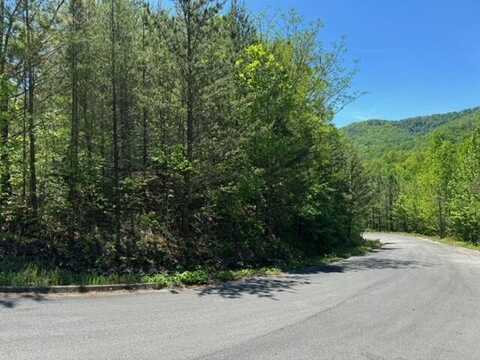 2481 Happy Hollow Rd Road, Sevierville, TN 37862