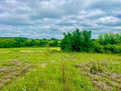 Lot 8 Clare Rd, Poolville, TX 76487