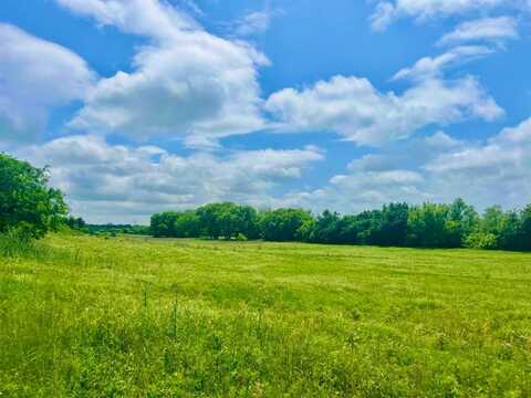 Lot 5 Clare Rd, Poolville, TX 76487