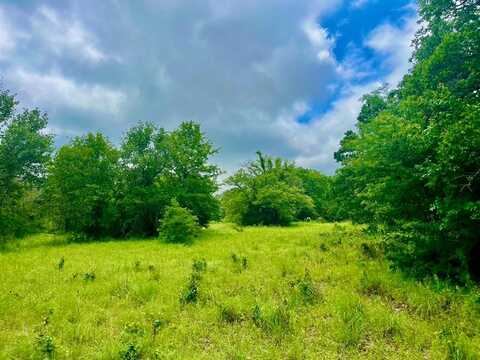Lot 12 Clare Rd, Poolville, TX 76487