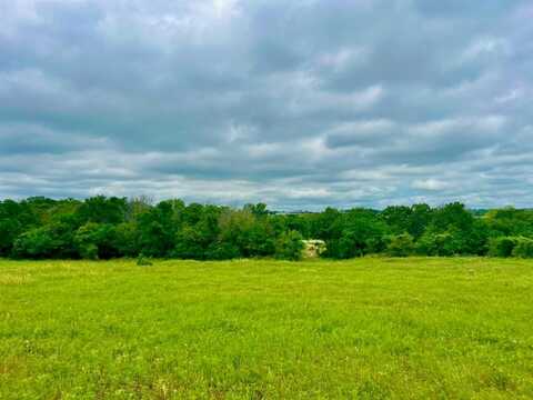 Lot 11 Clare Rd, Poolville, TX 76487