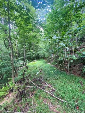 0 Hiawassee, Ellijay, GA 30540