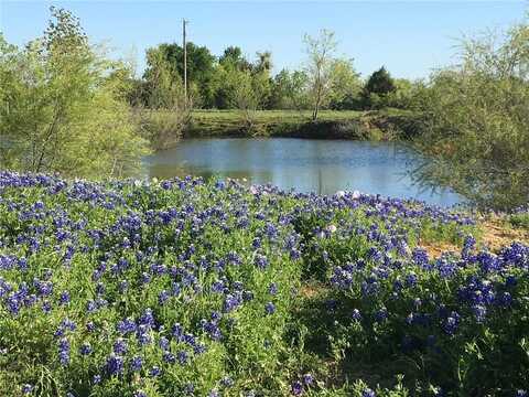 413 County Road 207, Other, TX 76518