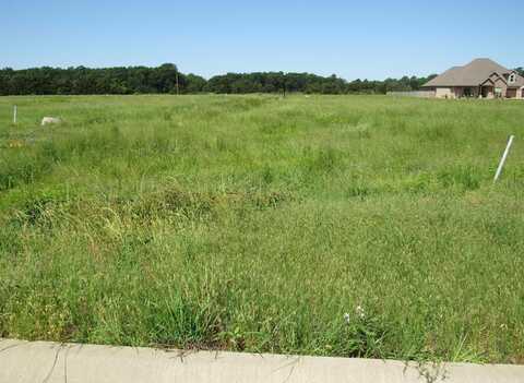 LOT 37 SUNSET Boulevard, Morrilton, AR 72110