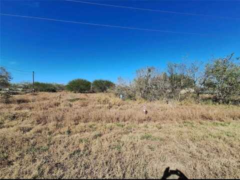 322 County Road 3571, Sandia, TX 78383