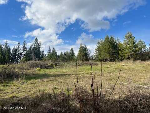 630 Willow Loop, Fernwood, ID 83830