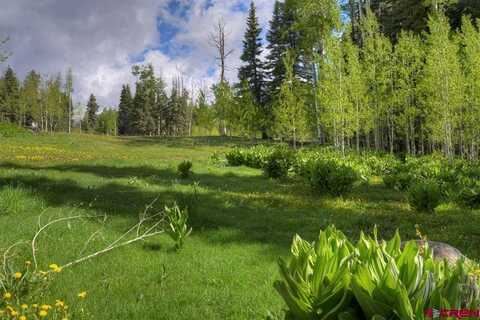 4558 Middle Mountain Road, Bayfield, CO 81122