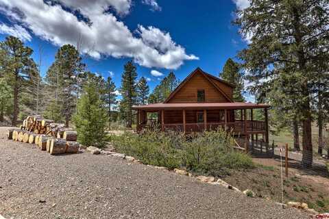 880 Easy St, Pagosa Springs, CO 81147