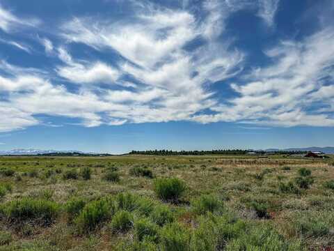 TBD Road 26.2 Loop, Dolores, CO 81323