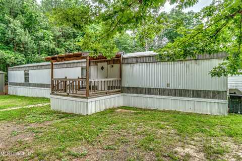 555 Henry Cannon Road, Braxton, MS 39044
