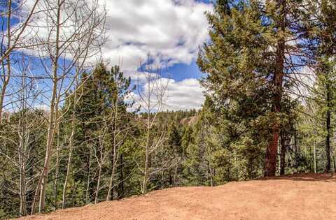 221 Valley Rd, Divide, CO 80814