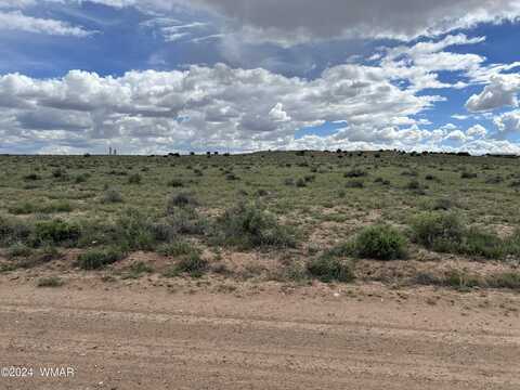 TBD 40.5 Acres at Carrizo Ranches, Saint Johns, AZ 85936