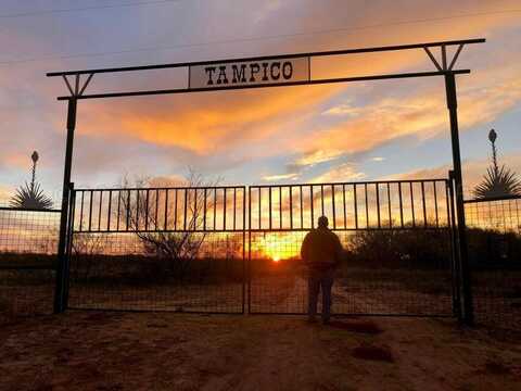 Tampico, Turkey, TX 79261