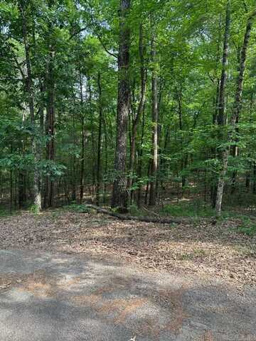 Lot 61 West Cliff Drive, Fairfield Bay, AR 72088