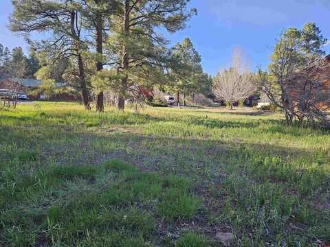 129 Enchanted Place, Pagosa Springs, CO 81147