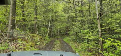 5.95 Acre State Route 30, Blenheim, NY 12131