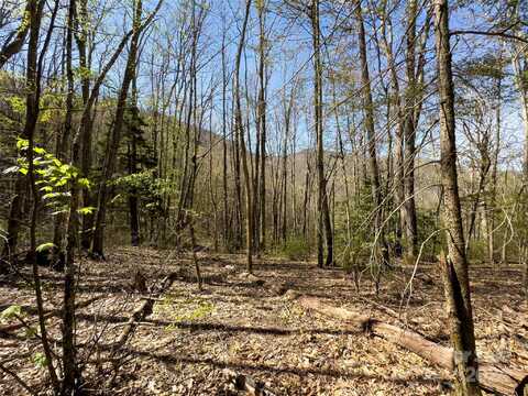 Lot 80 Shangri Lane, Kelly, NC 28719