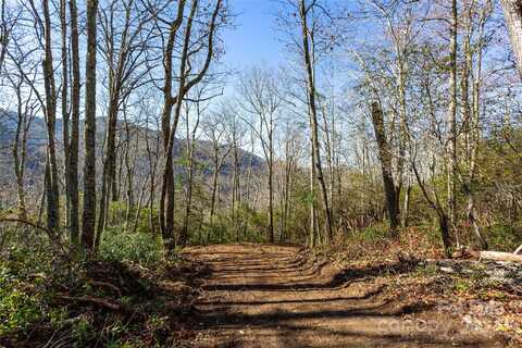 Lot 80/81 Shangri Lane, Kelly, NC 28719