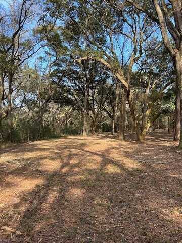 58 Seaside Lane, Edisto Island, SC 29438