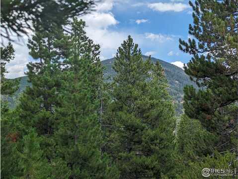 90 Quapaw Ct, Red Feather Lakes, CO 80545