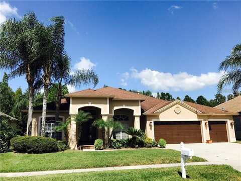 18110 ROYAL FOREST DRIVE, TAMPA, FL 33647