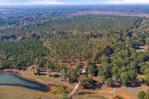 36 ac CR 1219-Lot 2, Rusk, TX 75785