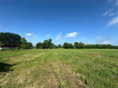 Lot 6 County Road 4330, Point, TX 75472