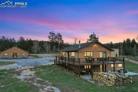 100 Mills Ranch Road, Woodland Park, CO 80863