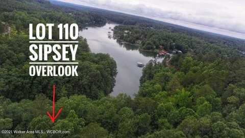 LOT 110 SIPSEY OVERLOOK Dr, Double Springs, AL 35553