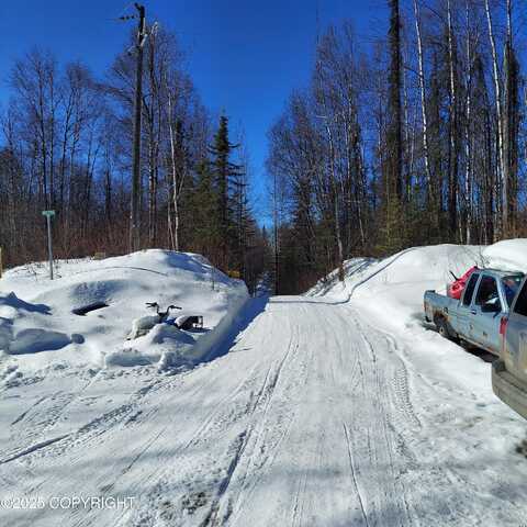 No Road E Walsted Drive, Talkeetna, AK 99676