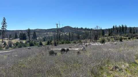 5028 Old Emigrant T., Mountain Ranch, CA 95246