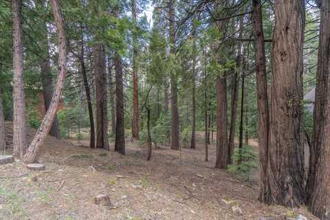 3099 Apache, Dorrington, CA 95223