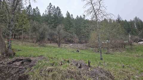 Tbd Pine St Blk 43, Lot 5, Peck, ID 83545