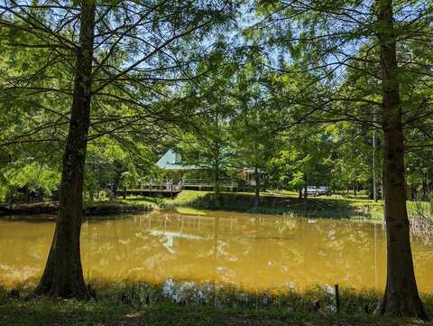 49 Chester Lee Rd, Poplarville, MS 39470