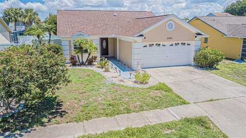 Cara, PALM HARBOR, FL 34684