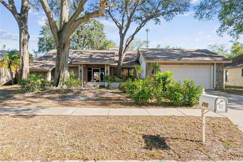 Mayfair, PALM HARBOR, FL 34683