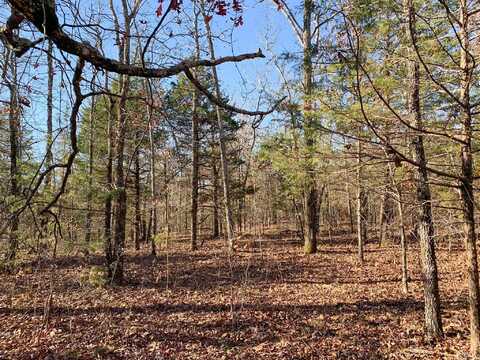1669 Odom Point Road, Bee Branch, AR 72013