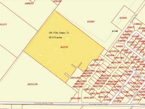 County Road 1726, Odem, TX 78370