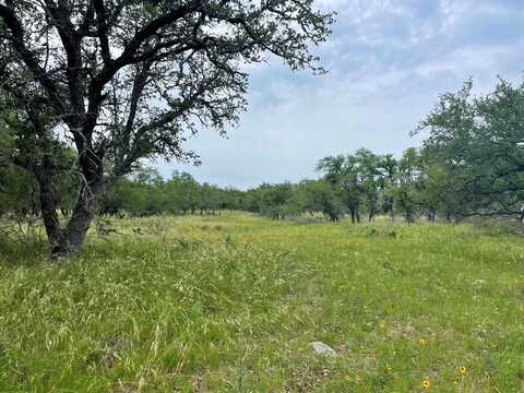 000 Wendel Rd, Harper, TX 78631